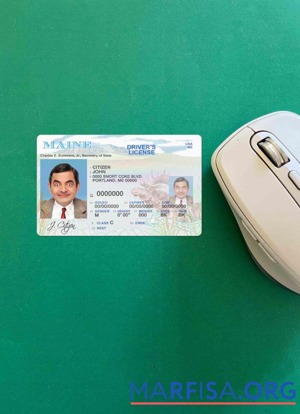 Blank USA Maine state driving license photolook example